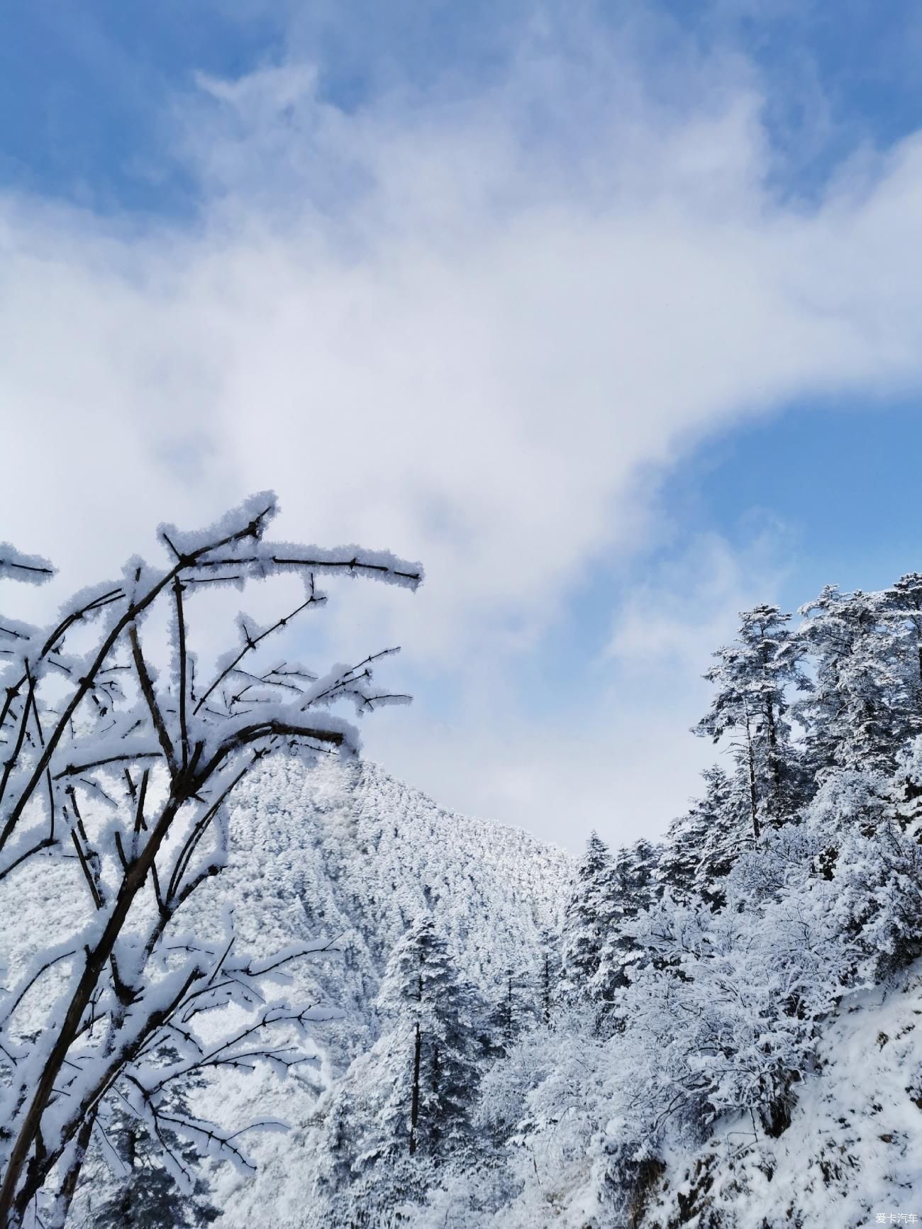 西岭雪山犹如仙境