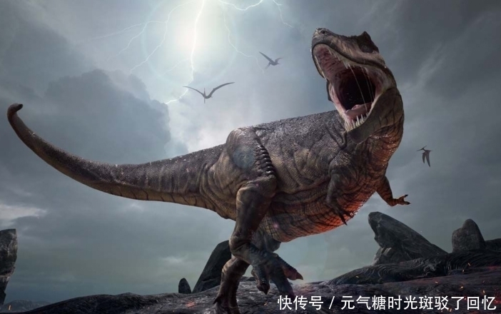 进化 两亿年的恐龙没有灵智,百万年的生物成为了文明!