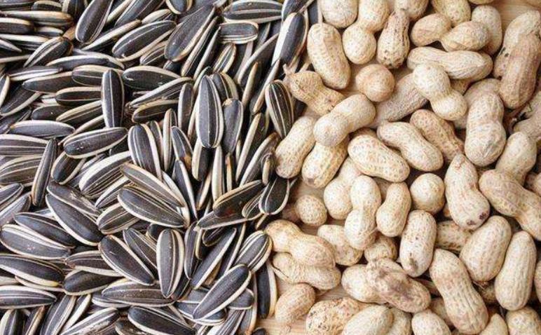 花生油|瓜子和花生,哪个让人长胖和减肥也许很多人都吃错了!