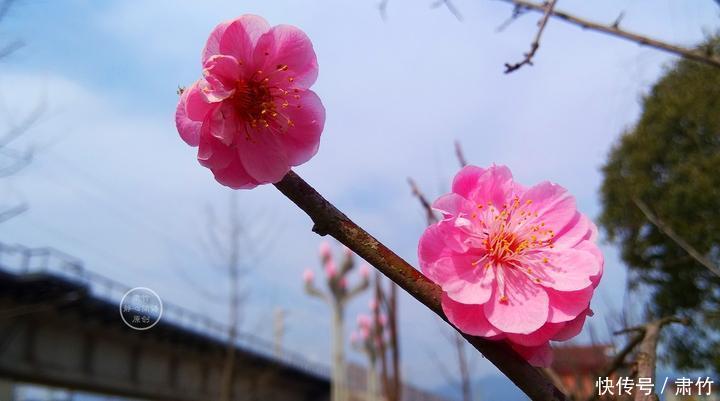 冷漠|在冬天辽阔的冷漠，找到秋天留给春天的种子