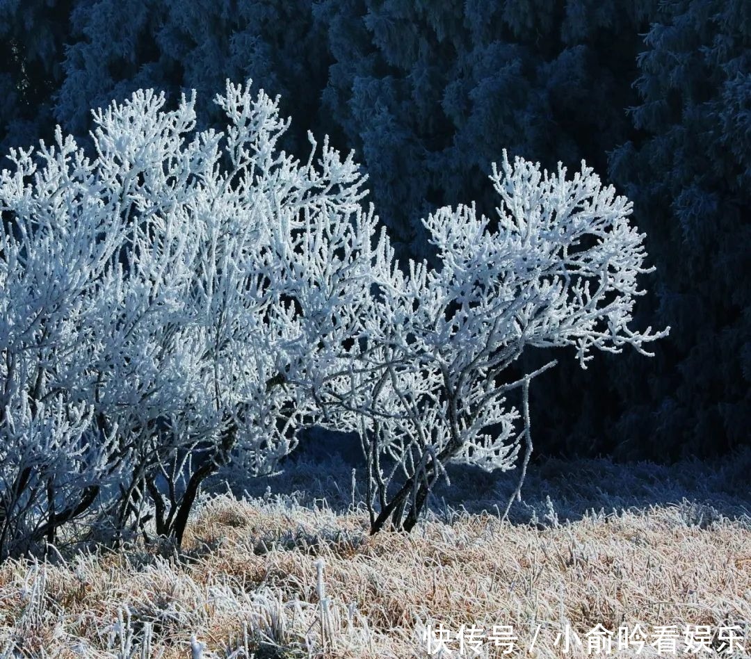 雪景|遂昌大美雪景图！让你一次看个够