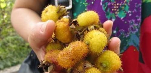 女性|女性过45，多吃以下食物，或把雌激素拉回正轨