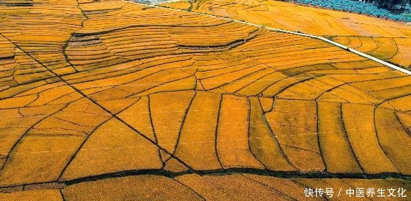 品美食 赏胜景 朝辞天府之国 夕宿彩云之南！