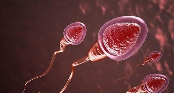 宝宝|夫妻间相差几岁,生出的孩子比较聪明?答案可能和你想的不一样