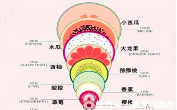 横切面|从蓝莓到西瓜，一张图带你了解顺产“开十指”，当妈真心不容易