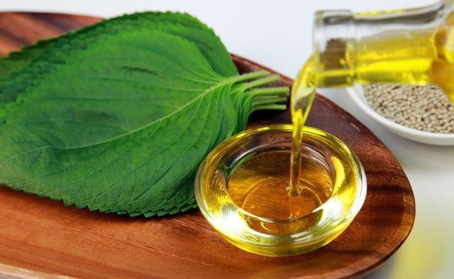 小勇|8岁男孩,昏迷不醒,靠呼吸机续命,医生怒斥家长啥都敢吃