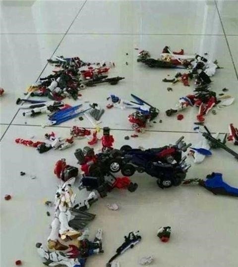 小李|“亲戚一场你计较啥”,熊孩子掰断 20万手办,受害者的处理太解气