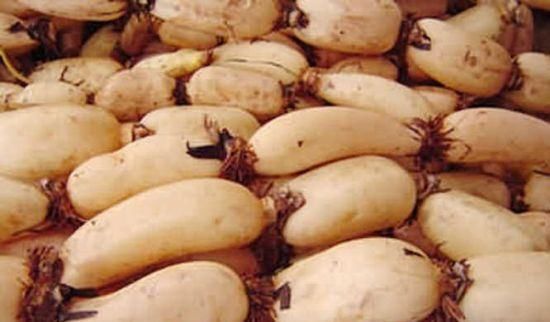 莲藕虽好,但2类人切记别吃,尤其是第2种,嘴再馋也别碰