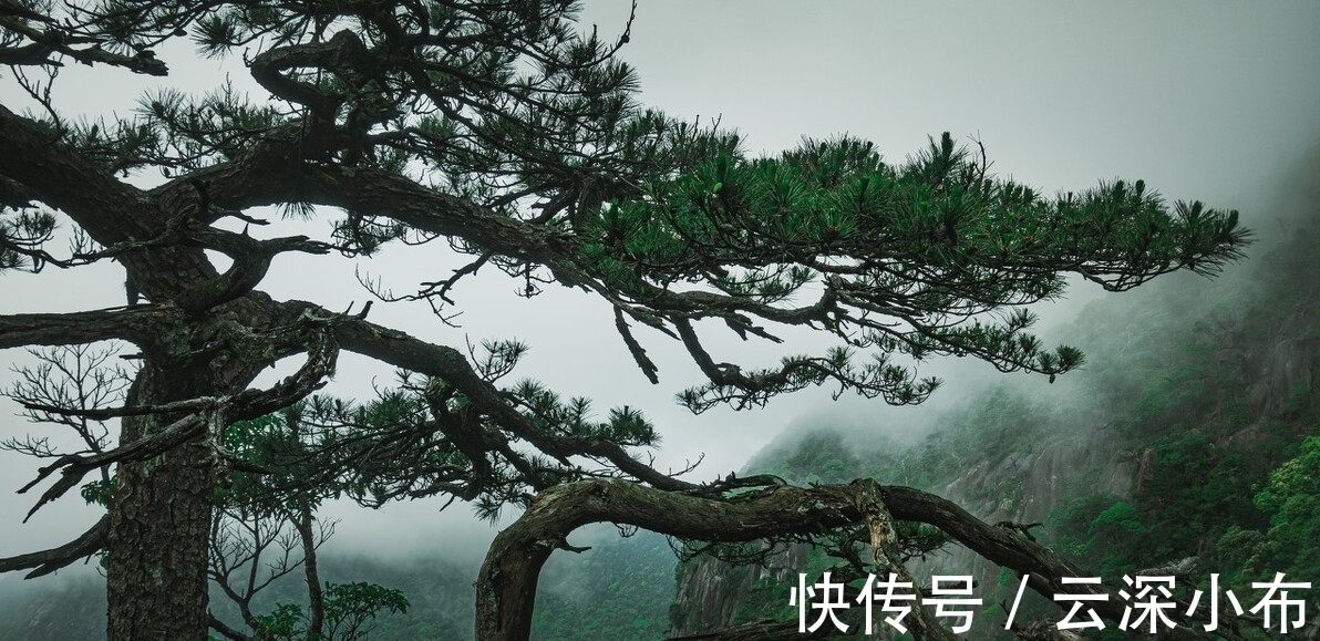 太上玄元@此人仅一首诗传世,短短20字,却比李白《山中问答》更精妙