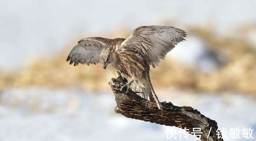 寒冬$从古诗词走来的十二月,冰天雪地,天寒地冻