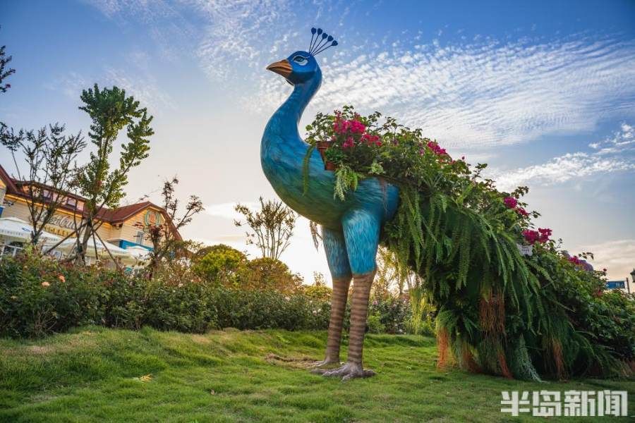 花卉|人游花海满城芳