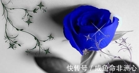 后悔|在6天后，旧爱后悔，起身来找，四大星座心难拒绝，再度原谅