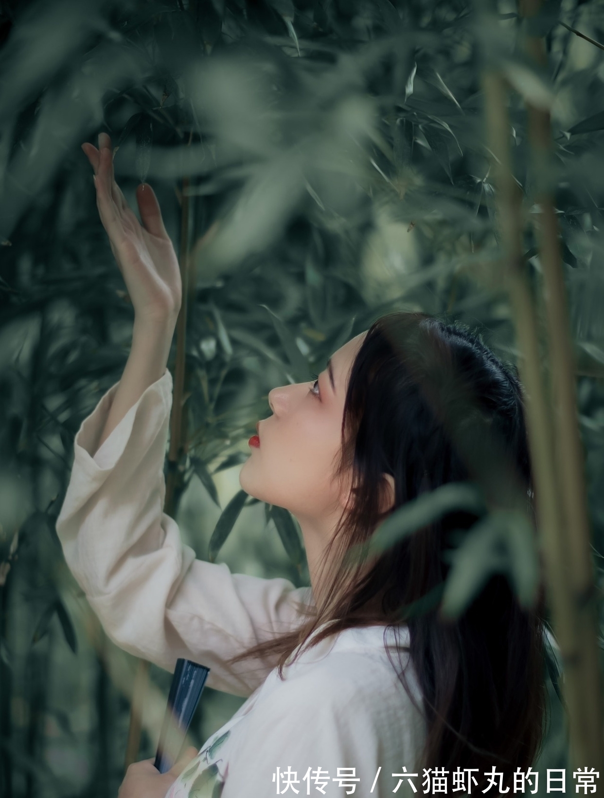 修贤!七绝·十九首丨个中思念寄鱼雁,每问海棠无恙乎?