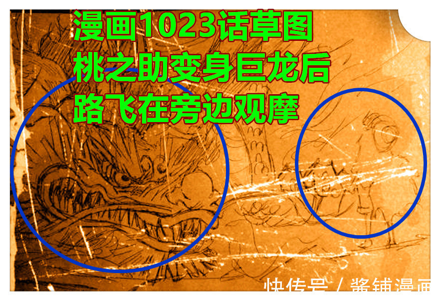 巨龙|海贼王，桃之助长大酷似御田，喷火的巨龙让罗的伙伴们吓懵