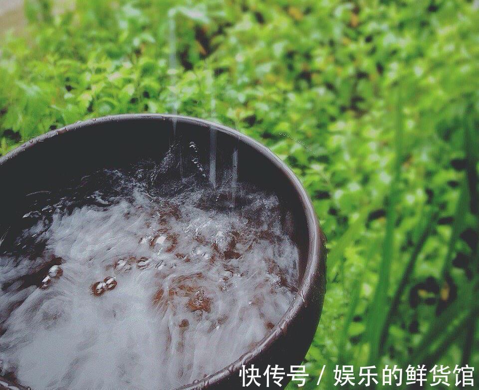 盆栽|夏天里这5种花,爱喝水是大水桶,每天浇水才能枝叶翠绿长势旺