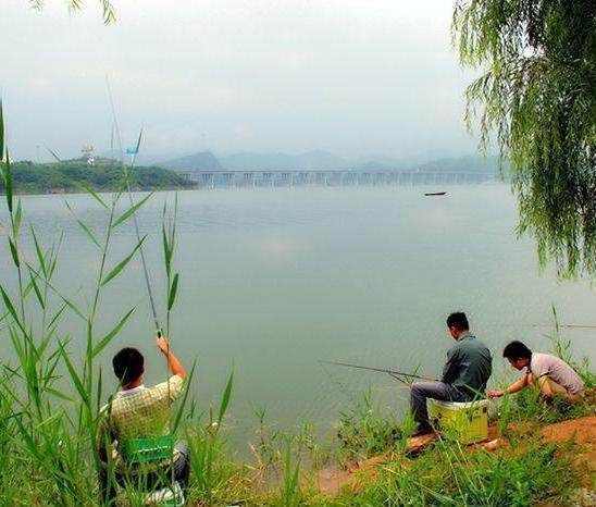 想要钓大鱼,就要记住这几个妙招,学会了你会有收获