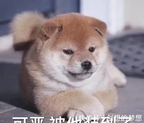 邹晓雯|抠搜女孩必看的5家淘宝店，反季买棉服太便宜了！