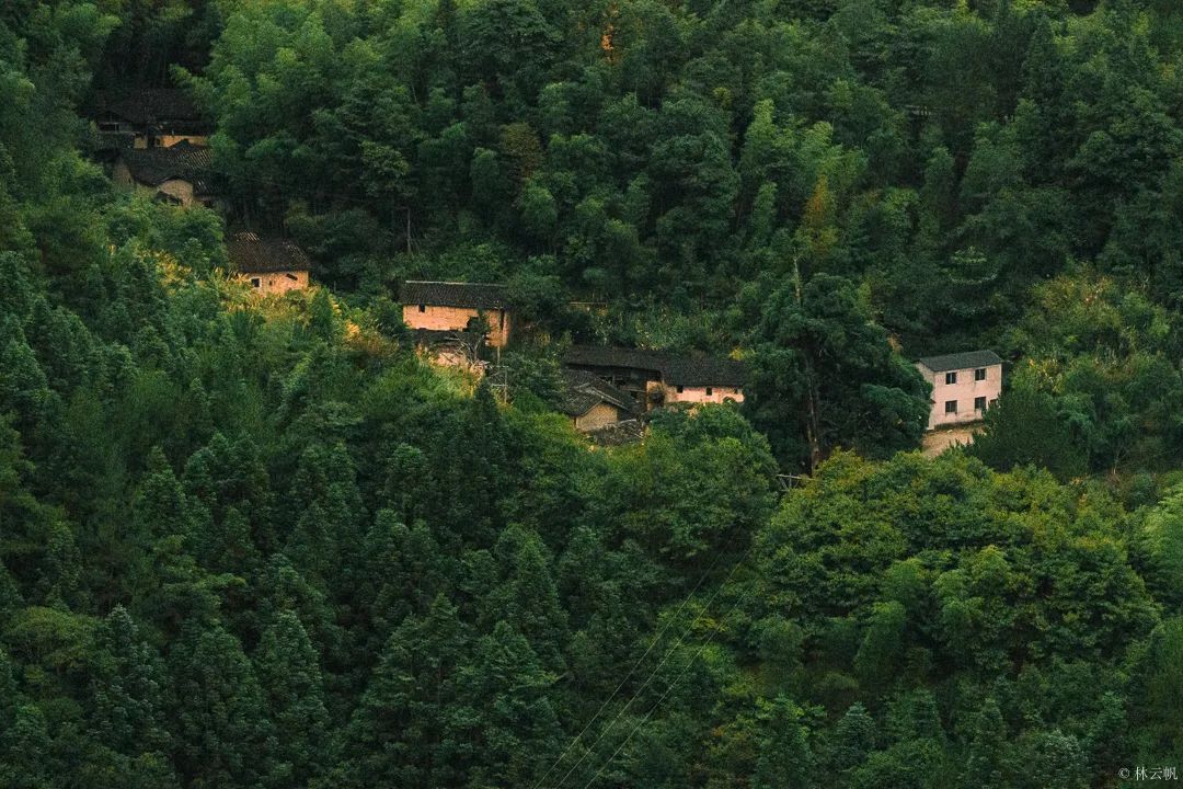 居所|太拉風(fēng)了！螞蟻探路帶領(lǐng)房車露營真人秀節(jié)目慶元拍攝圓滿殺青