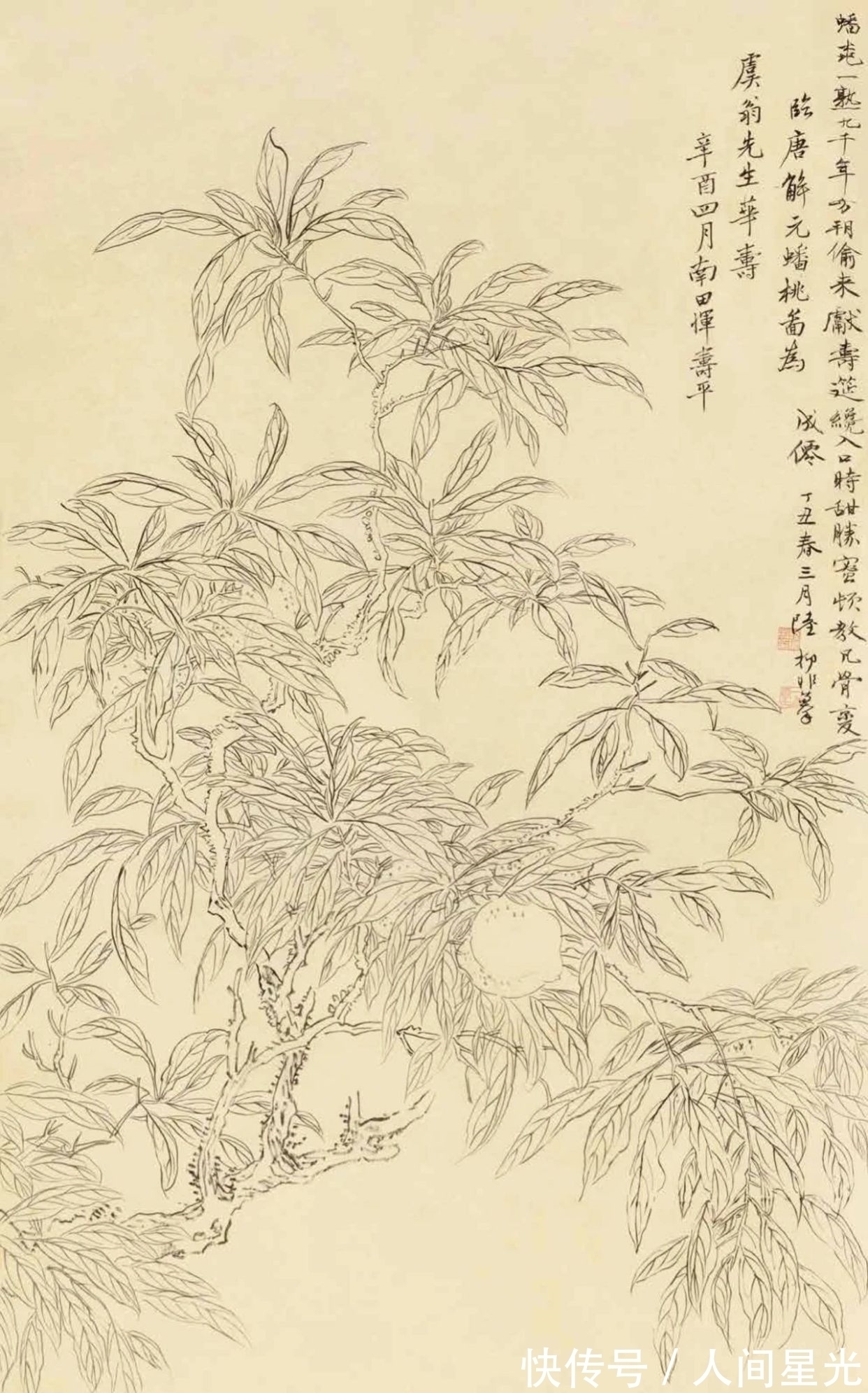 绘画作品$「津门网」陆抑非先生课堂上都给他的学生传授了什么样的秘籍?