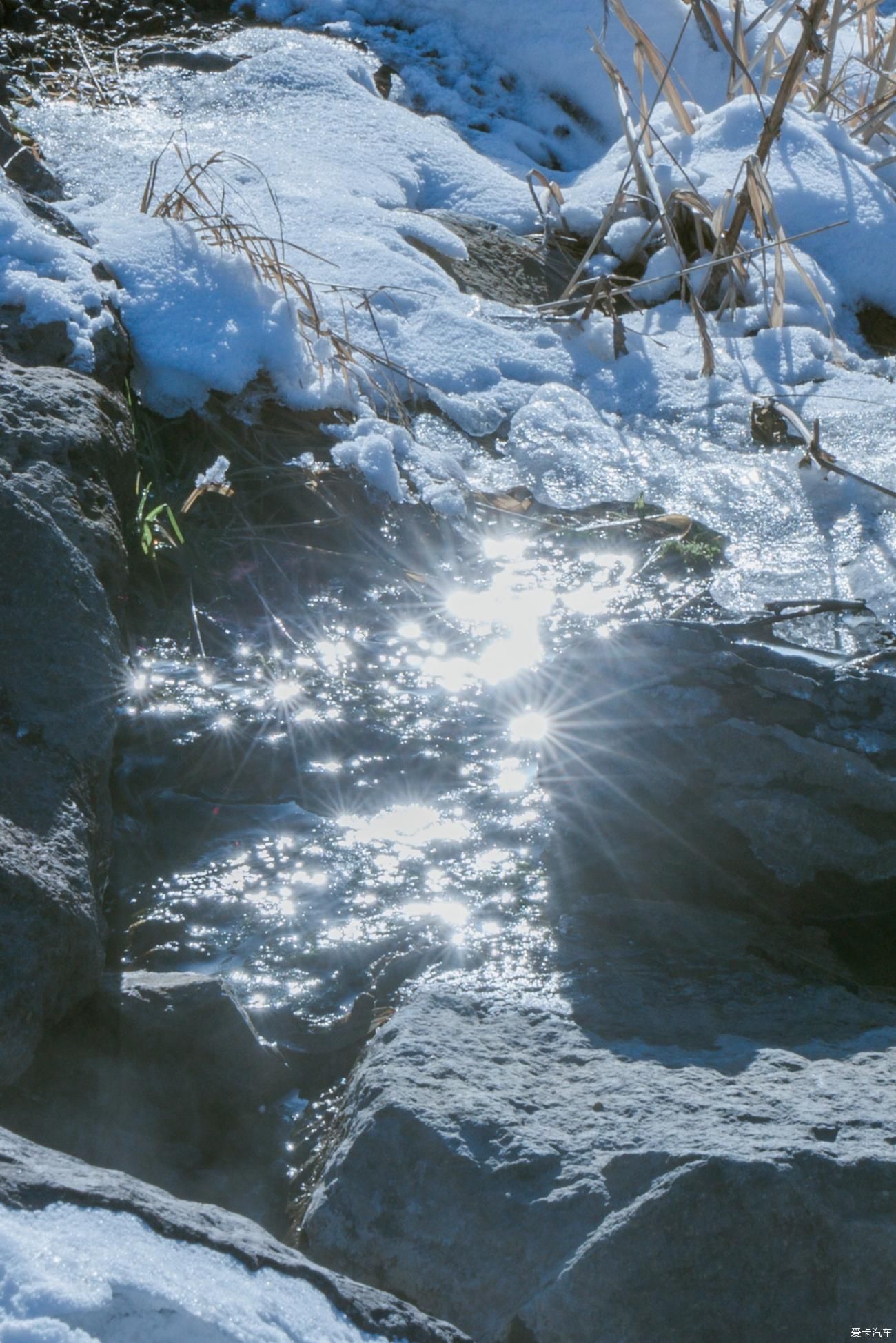 老年|在寂静雪原 遇见雪花真实的形状