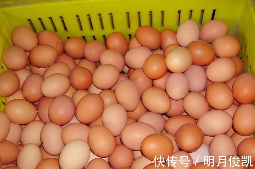 蒸鸡蛋羹,直接加水就错了!参考4要点,细嫩光滑,入口即化