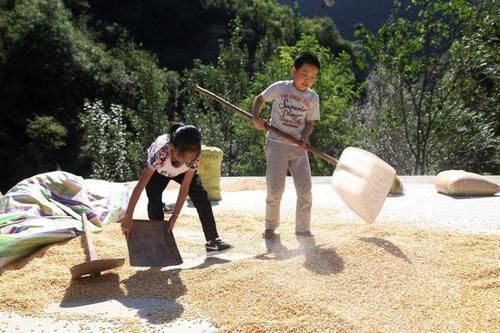 孩子|女儿暑假到姥姥家，宝妈去接时差点认不出，小公主竟成了“村霸”