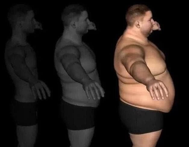 胰岛素|腹肌是怎样炼成的4招让你“体脂率”降到11％，轻松秀出腹肌