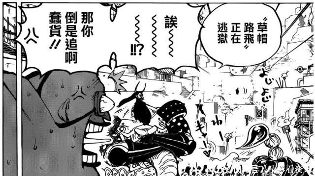 海贼王|海贼王三灾“奎因”赏金超13亿，花豹五郎曾一统和之国江湖！