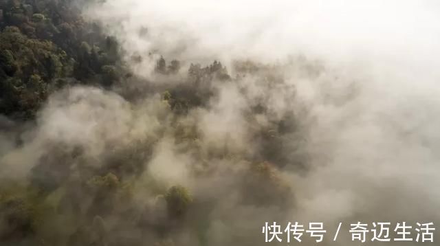 陆凯#诗词丨史上最美的8首短诗,首首经典,谁读了都会心醉