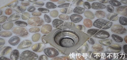 扎带|卫生间放2根塑料扎带,真是厉害了,解决了困扰大家的一个难题