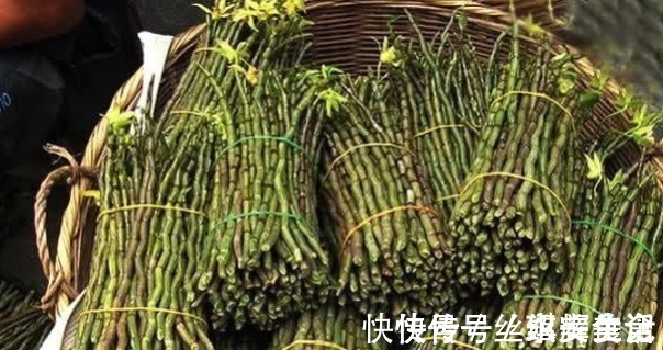 野生|乡下野草,要卖350元一斤,全身是宝,营养丰富有12大功效