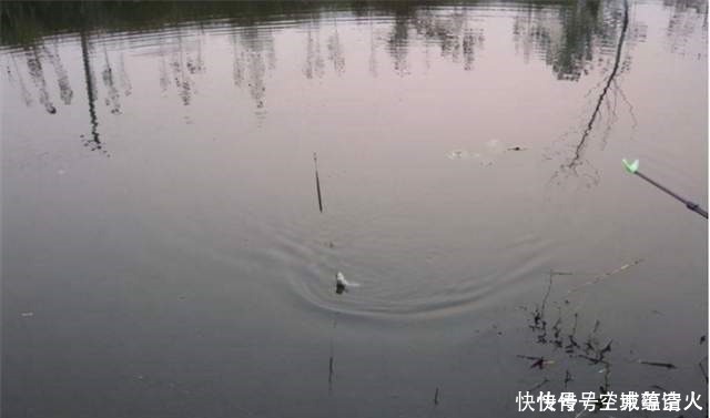 漂相|不知道用七星漂还是立漂,看完这篇就知道了