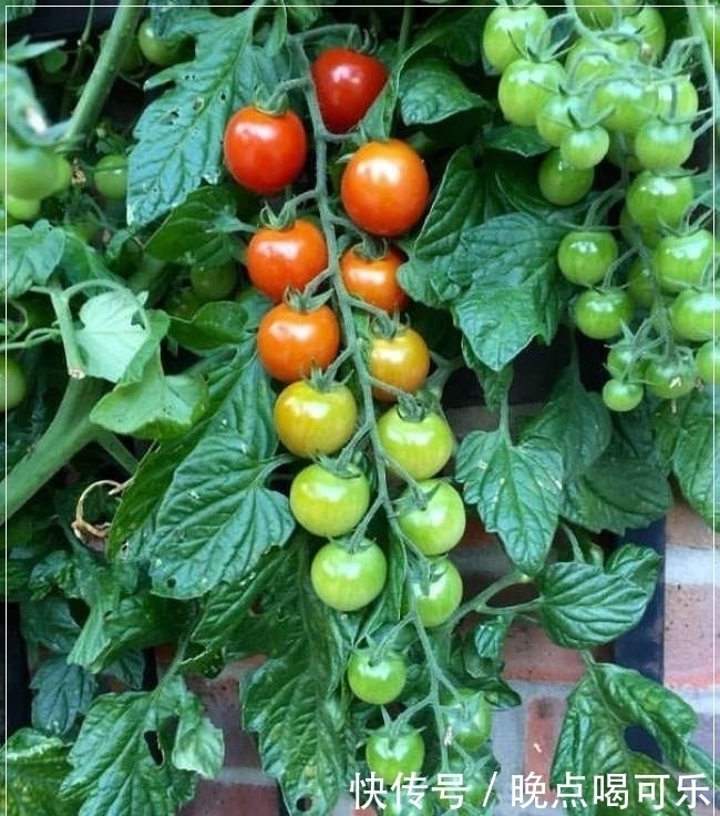 画面|18张令人惊叹的画面，可以让你重新认知这个世界，看后难忘！