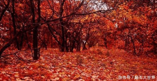 杜牧最出名的一首诗,人人倒背如流,却有