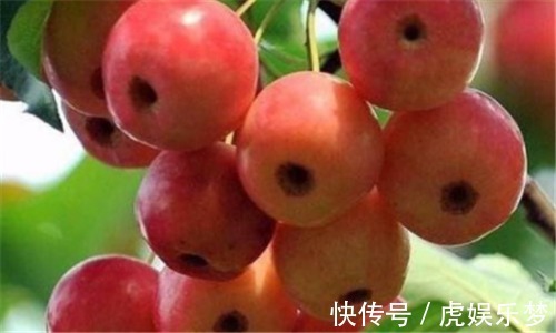 消脂|聪明的人爱吃3种食物,排毒消脂,美白肌肤,延缓衰老