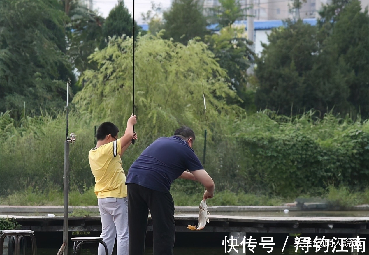 贪食|秋天的鱼都有贪食的弱点，如果你钓不上来，不妨来看看是哪里错了