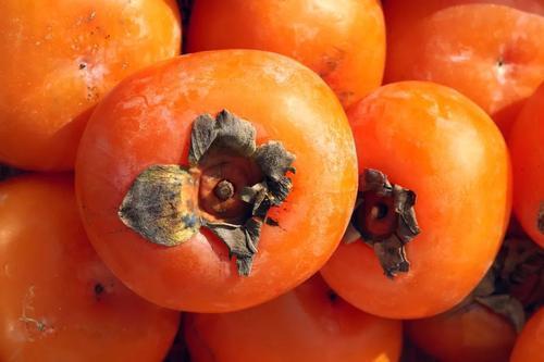 鞣酸蛋白|都说“一个柿子十副药”,到底有什么好处有2类人别吃