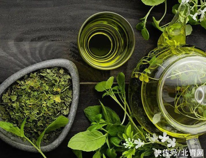 苦寒|“天热食苦,胜似进补!”但食苦也要适度