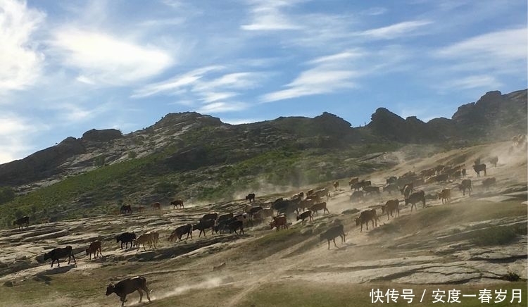 哈萨克|草原上的生命大迁徙哈萨克转场