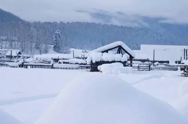 神话里|如果东北的雪景是童话，那北疆的雪景便是神话！