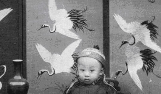 审判|溥仪最男人的8天,将审判席坐出龙椅的气势,拍桌怒怼日本天皇!