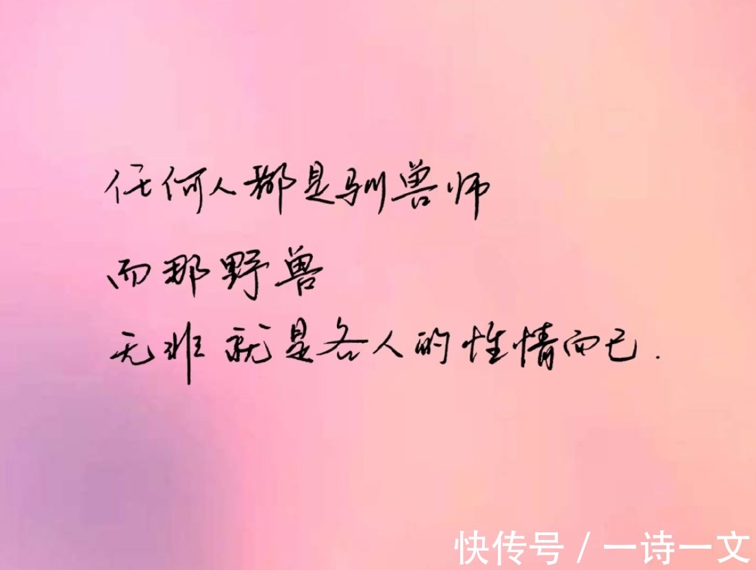 荒原@饮酒煮茶,围炉夜话,任他风雪扣柴门,但有杯中酒正温