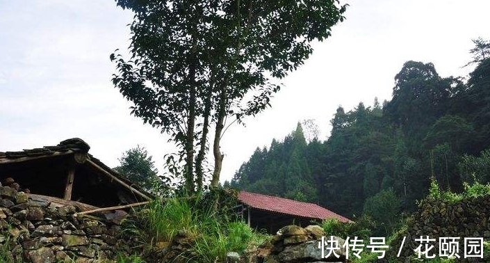 古村|中国这一禁地“鬼村”，76人无故死亡，曾是著名世外桃源