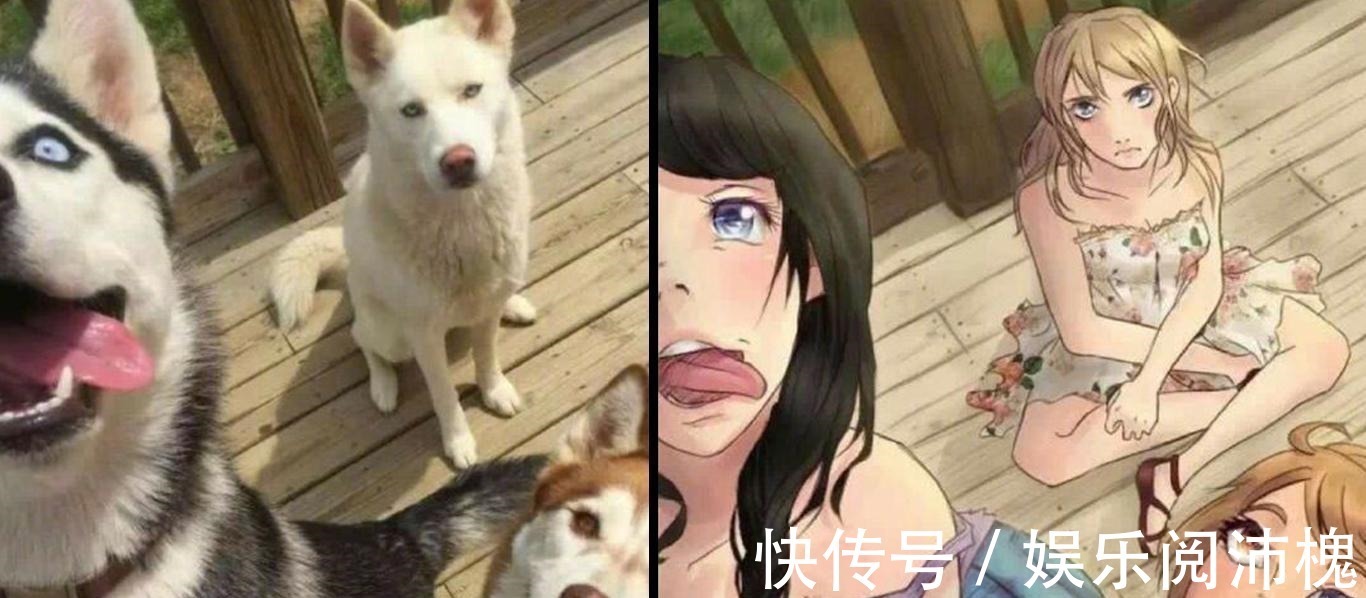 当动物被画师二次元化,可盐可甜可帅气,还是纸片人更让人心动