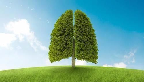 瘙痒|你的肺部是否健康几个小运动自测一下,省得去做体检了