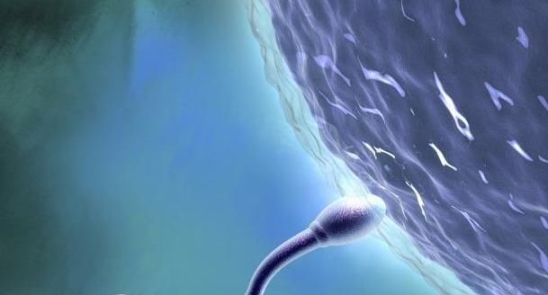 男人平时多吃西红柿，或许会白捡三个好处，你会经常吃吗