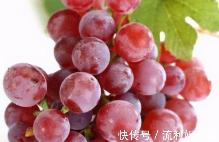 身体|对身体很好的3种食物，营养丰富、补益身体，好处多多！