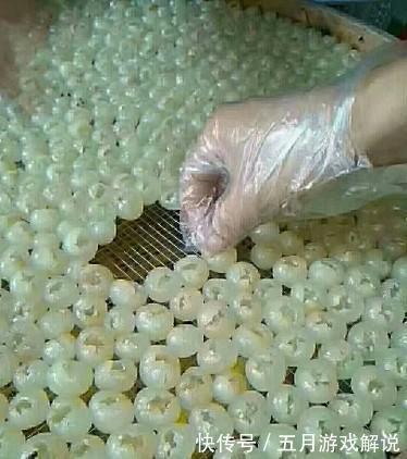 保存龙眼,最好别放冰箱,教你2种好方法,保存时间长,好吃解馋