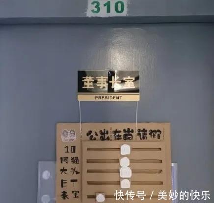 |大学生的宿舍门牌有多搞笑,最后一个过分了!我都想串门去了!