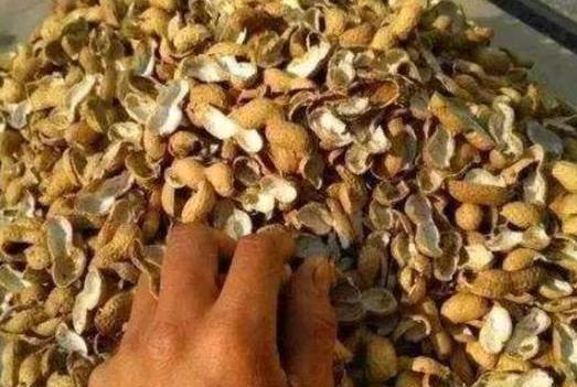 这2样东西看似平淡无奇,用作养花却不一般,增肥效果极好